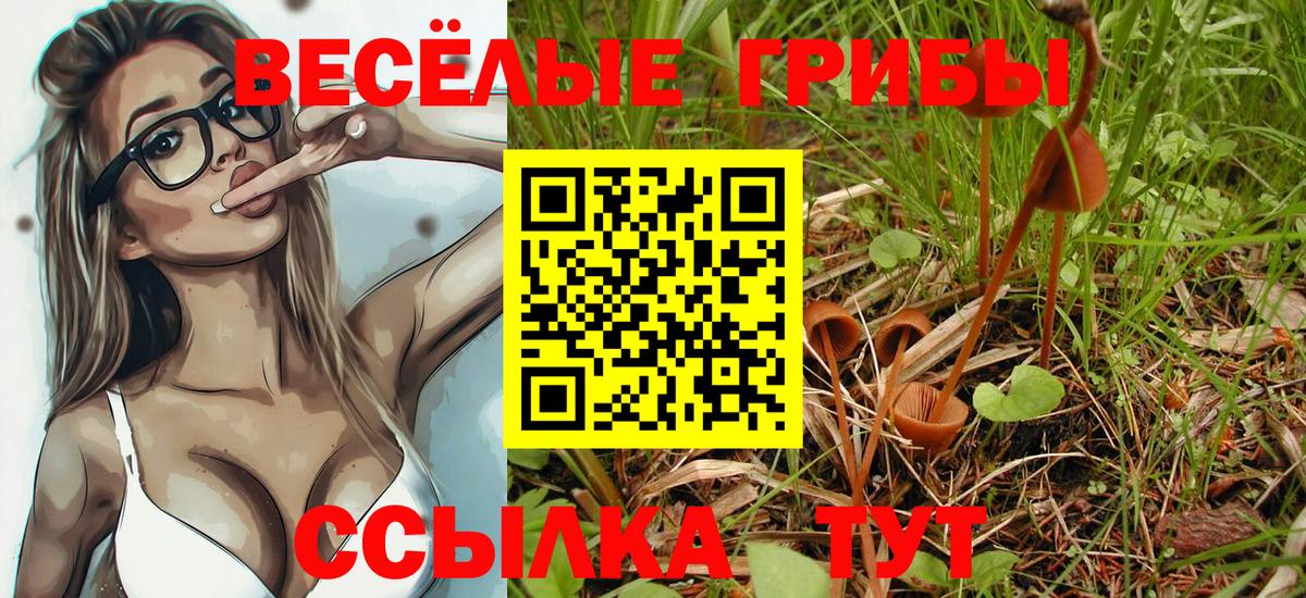Галлюциногенные грибы прущие грибы  Вход с VPN  Псилоцибиновые грибы GOLDEN TEACHER  Алексин 